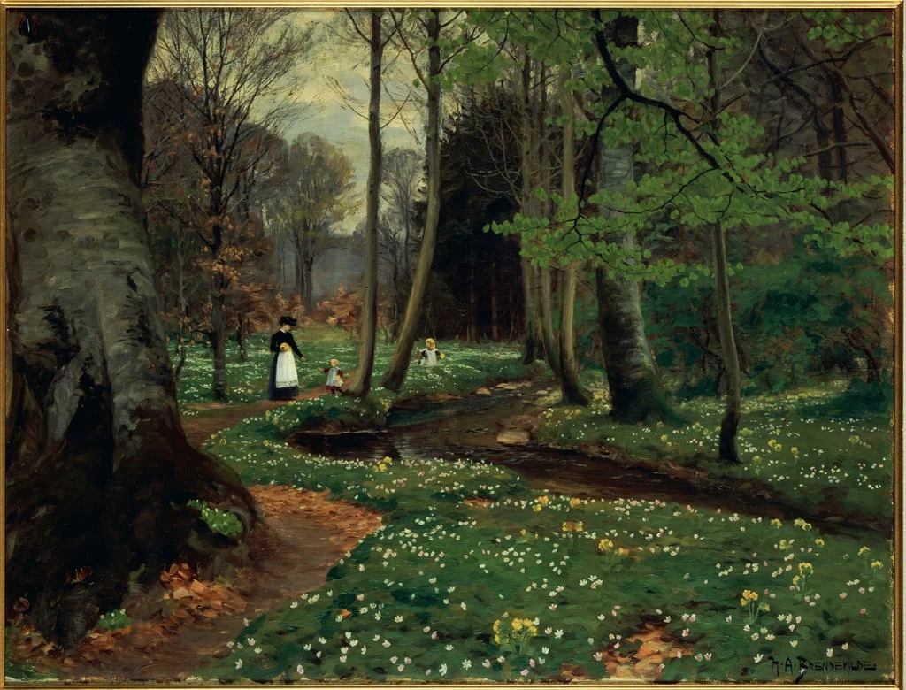 Il sentiero nel bosco
